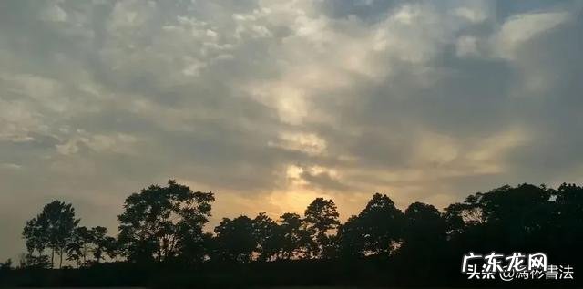 冲施肥究竟能不能频繁更换