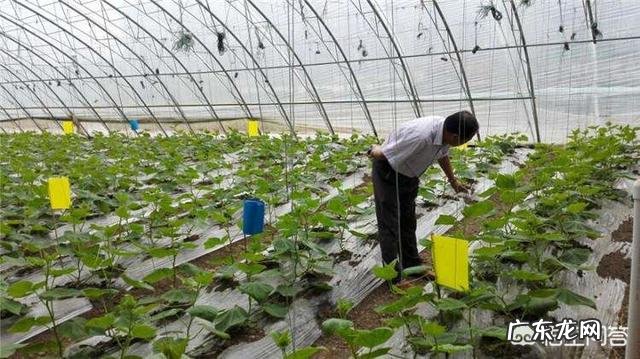 冲施肥究竟能不能频繁更换