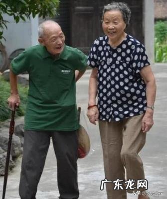 军统最后一个女特务 电视剧最后一个特务