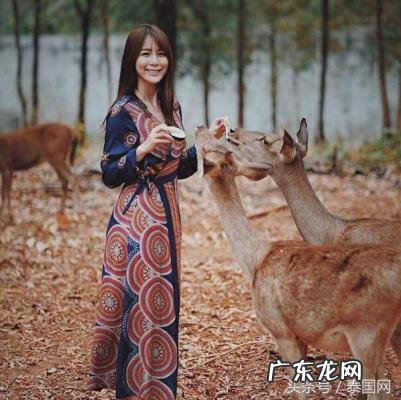 马里奥·卡萨斯的女朋友 马里奥的女朋友