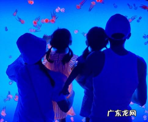 张杰写给谢娜的歌叫什么 谢娜给张杰写的歌