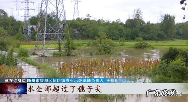 多地遭遇特大暴雨！洪水夜袭，妻子遇难前发出诀别短信&#8221;床下有存款&#8221;…