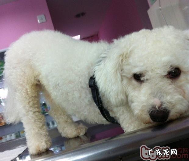 这些特色美食你的商品的不可以碰