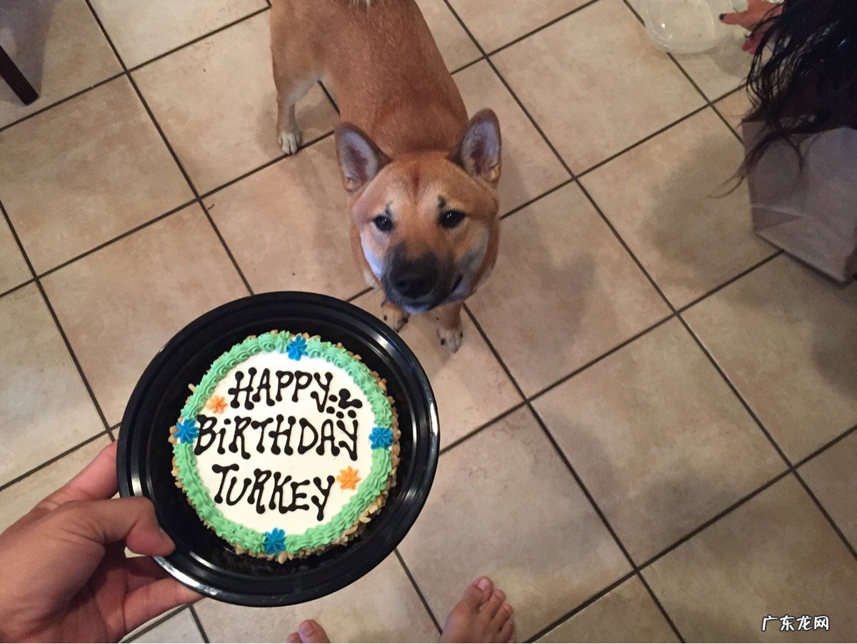 燕麦片热量,燕麦片卡路里,燕麦片吃多少