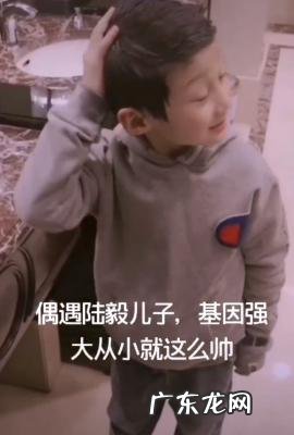 陆毅儿子曝光 陆毅儿子