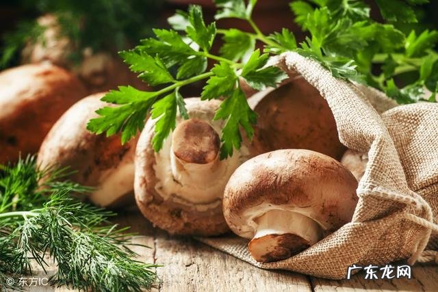 孕前应该怎么吃-孕前吃什么可以补钙