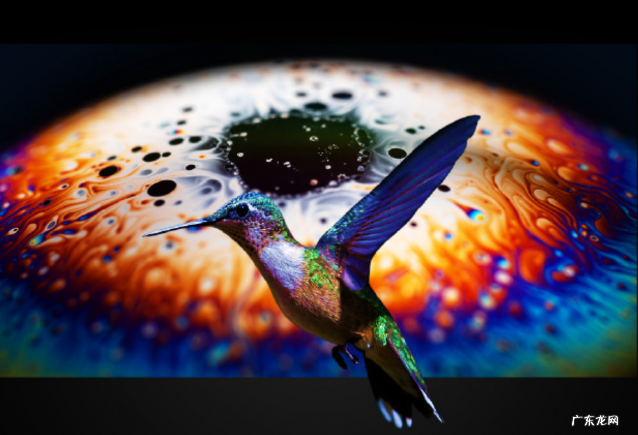 真我gtneo2显示芯片是独立的吗