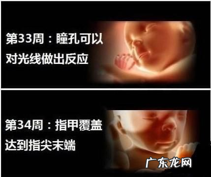 孕34周胎儿体重正常值是多少