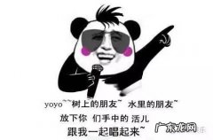胡歌与林依晨的射雕综艺 胡歌与林依晨