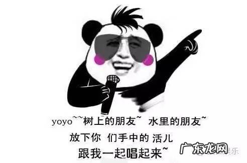 胡歌与林依晨的射雕综艺 胡歌与林依晨