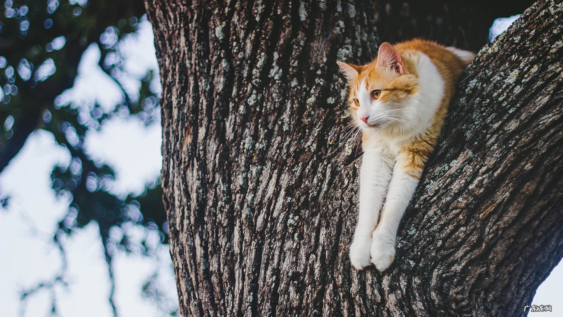 怎样才能使身体新陈代谢快。