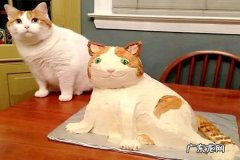 淘宝买家秀怎么弄？淘宝买家秀怎么发布？