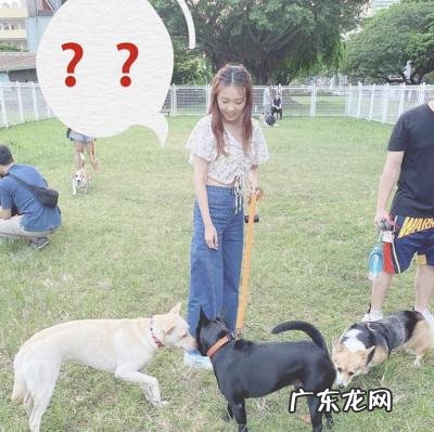 综艺大热门最新 综艺大热门丫头