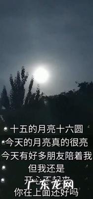 于月仙的老公张学松图片 于月仙的老公