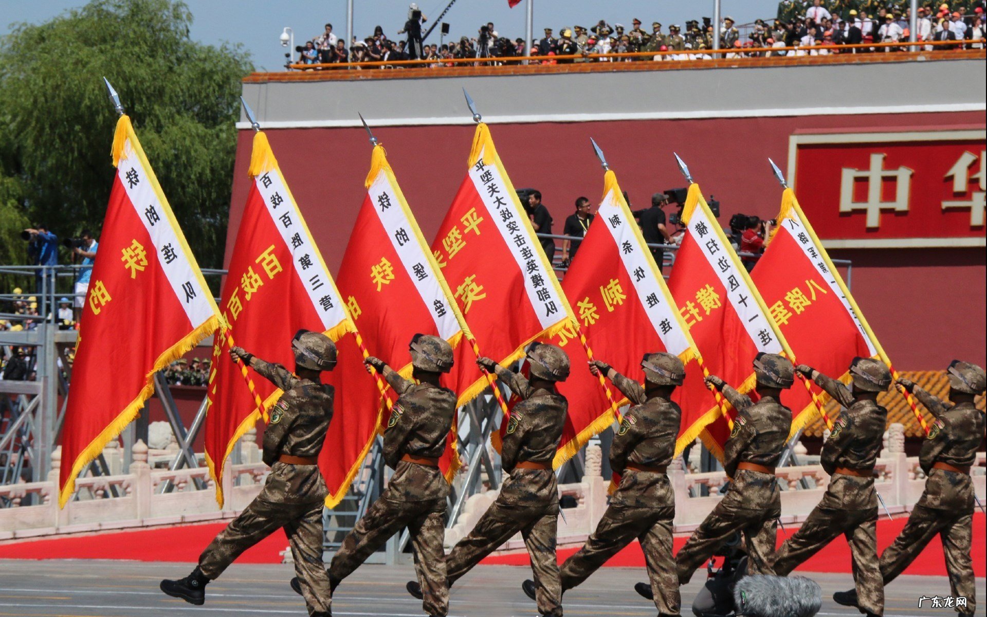 枸杞、黄芪、山芍和茶泡水有什么功效？