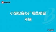 小额投资办厂项目 投资办厂项目