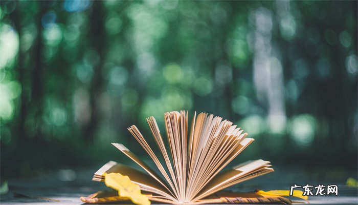 画眉深浅入时无全诗,谁写给谁的,李清照最肉麻的一首诗?