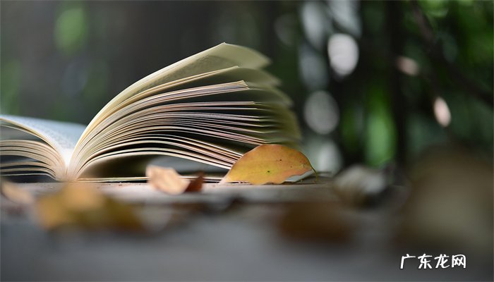 画眉深浅入时无全诗,谁写给谁的,李清照最肉麻的一首诗?