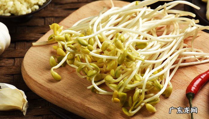 豆芽是植物吗,豆芽算是植物吗?