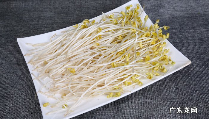 豆芽是植物吗,豆芽算是植物吗?