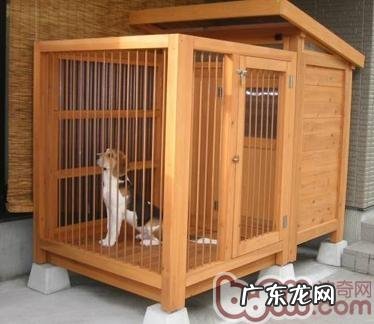 狗狗的窝购买的常见问题