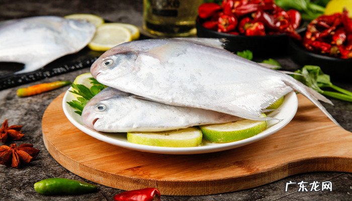 鲳鱼是什么鱼,超大鲳鱼是什么鱼？