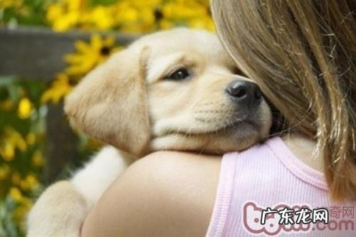 一些普遍的人和动物共患传染性疾病