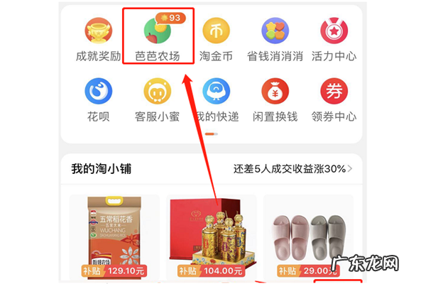 淘宝芭芭农场怎么升级?怎么升级快?