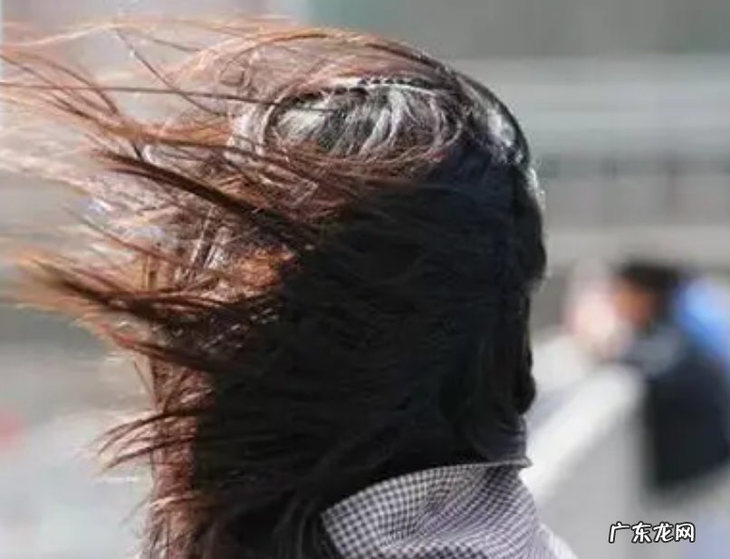 形容风很大天气很冷的句子