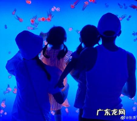 谢娜怀孕了吗几个月了 谢娜怀孕了吗