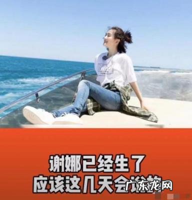 谢娜怀孕了吗几个月了 谢娜怀孕了吗