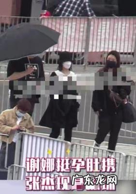 谢娜怀孕了吗几个月了 谢娜怀孕了吗