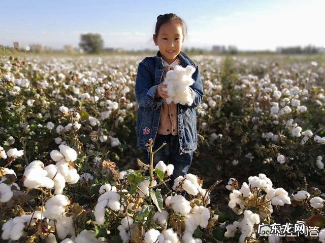 开网店卖什么东西比较好?