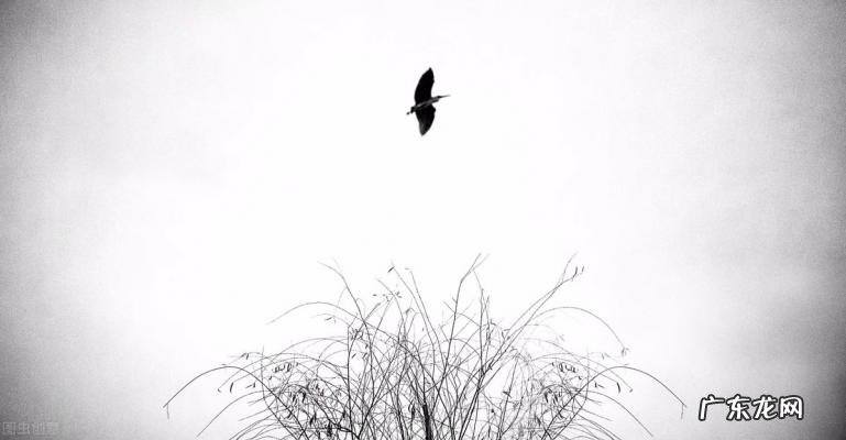 思念是种会呼吸的痛照片 思念是种会呼吸的痛