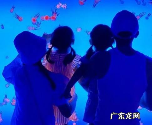 谢娜二胎的出生日期 谢娜出生日期