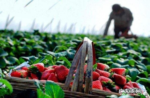 2019最赚钱的五大项目有哪些?