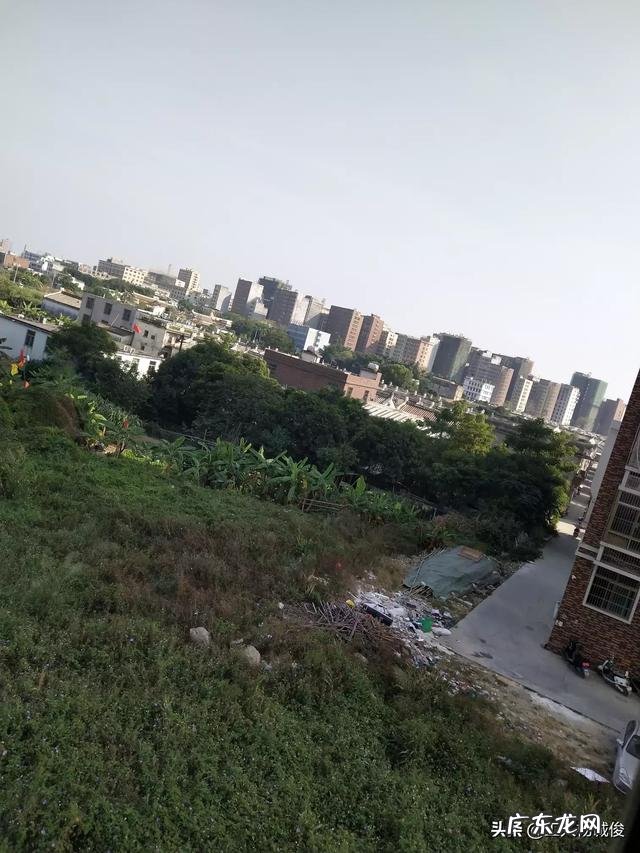 现在手里有一万块,可以做点什么生意?