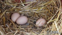 农村水稻稻杆有什么加工销路吗？