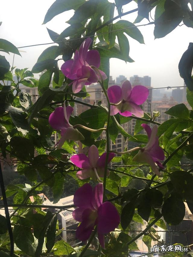 新建的小区，做什么赚钱？