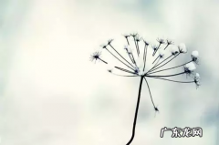 大鱼塘刷多少单？刷单介绍