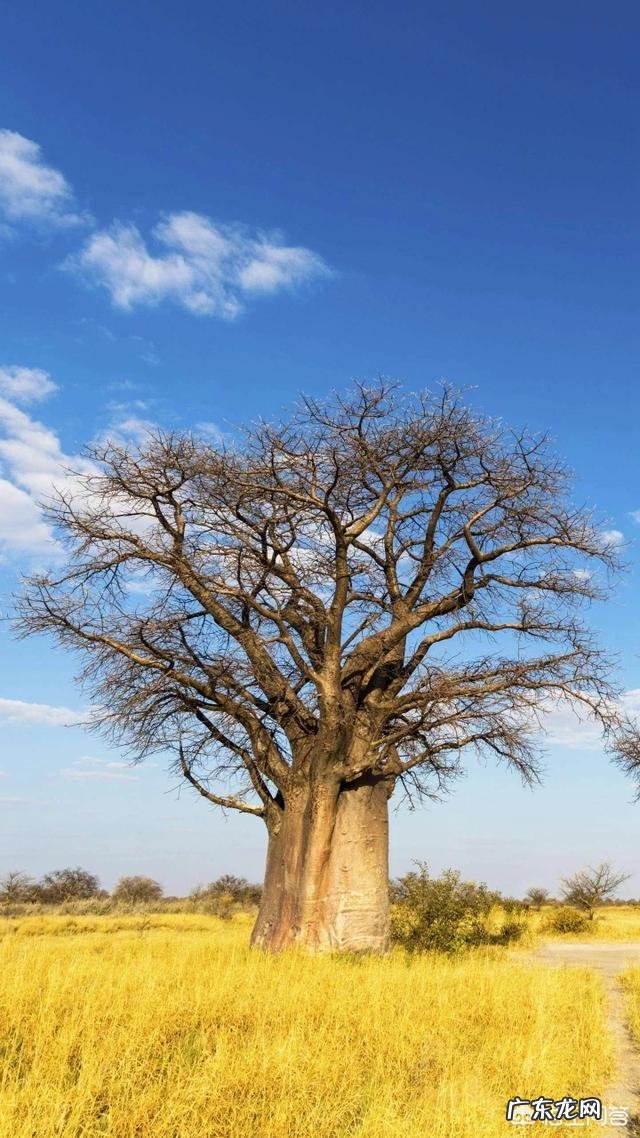 现在易拉罐熔铝还挣钱吗?哪里有回收的?