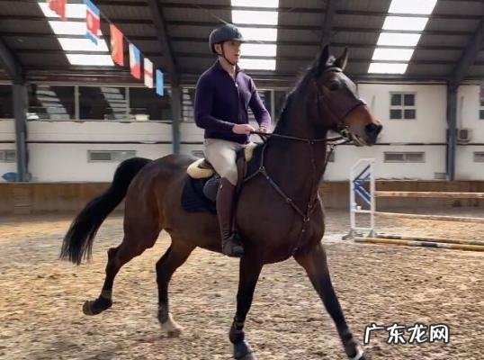 主持人朱珠 肖战 主持人朱珠