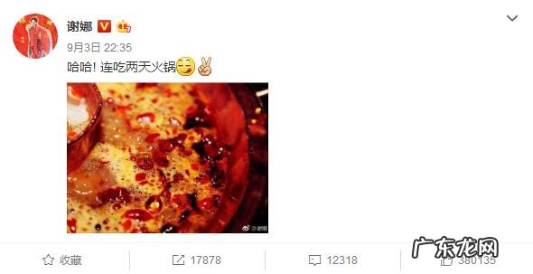 谢娜怀孕二胎照片 谢娜是否怀孕