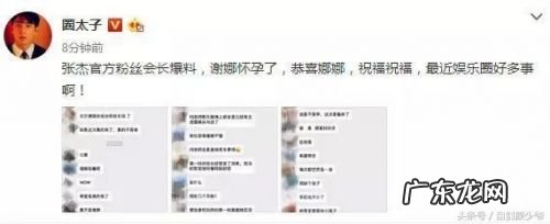 谢娜怀孕二胎照片 谢娜是否怀孕