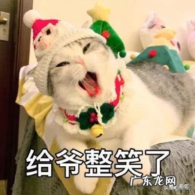 林允儿微博超话社区 林允儿微博