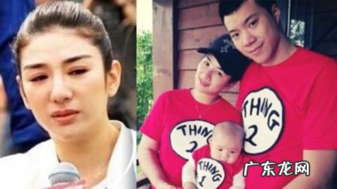 黄奕的老公黄毅清是干什么的 黄奕老公黄毅清资料