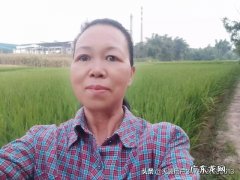 赚钱小项目学生？ 有什么赚钱的小项目介绍吗？