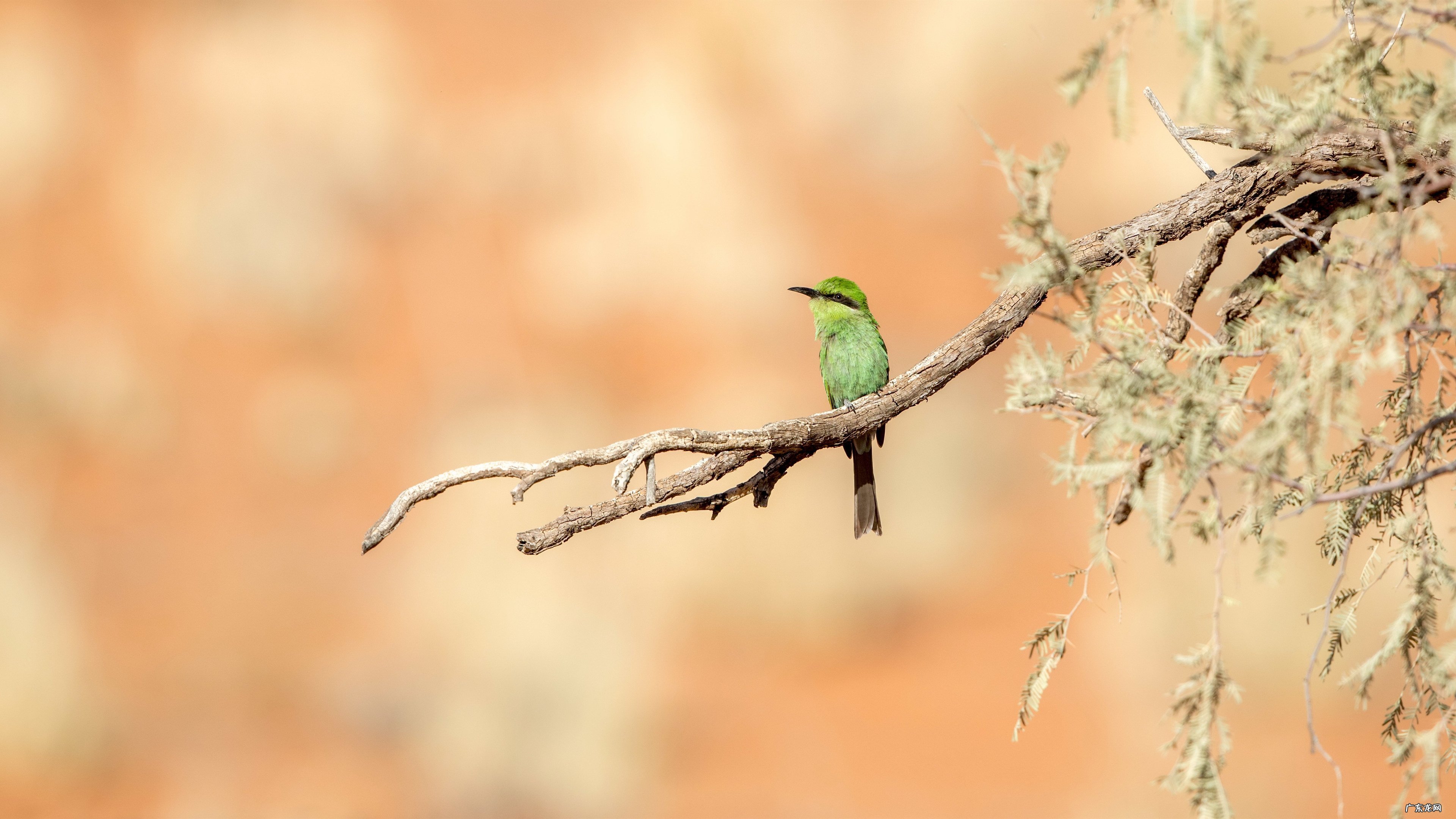 锻炼身体骑哪种自行车 想用骑车这种方式来锻炼身体，选哪款车比较好？