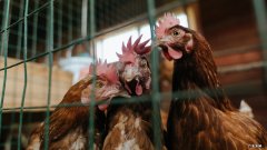 锻炼身体骑哪种自行车 想用骑车这种方式来锻炼身体，选哪款车比较好？