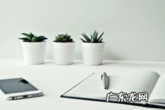 拼多多补单有什么靠谱渠道？安全吗？